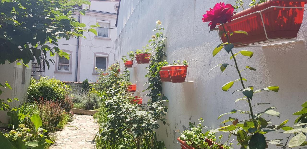 Garden Apartments Beograd Eksteriør bilde
