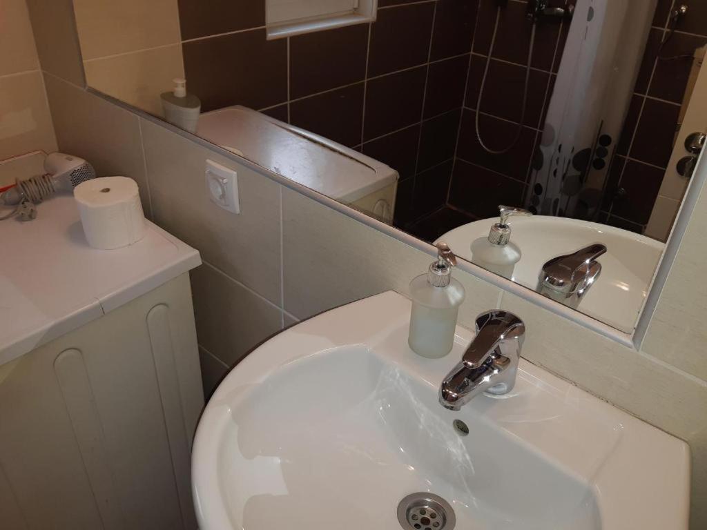 Garden Apartments Beograd Eksteriør bilde